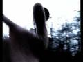 videos de Go Walk the Dog