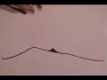 Trippy whiteboard animation, dark side of the moon.