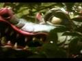 Ultimate Efteling Video Part I