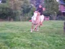 polo totale liberter polo totale liberter
