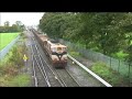 074 on Sligo-Waterford timber at Kildare 091008