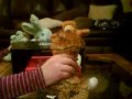 Webkinz American Idol #3