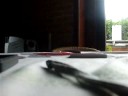 O VIDEO MAIS LEGAL!