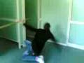 videos de matrix revolution oliveti