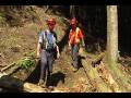 Young and New Worker Programs - LRD Contracting