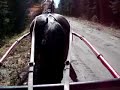 K�ra h�st?