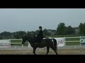 Sidesaddle International Championships Equitation classes