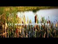 Einzigartiges Relax-H�rbuch