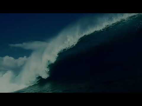 Chờ đón nhân tố X sắp xuất hiện Terramont X