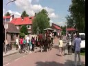Paardenmarkt Alblasserdam 2008