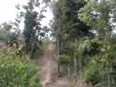 Guararema Guararema