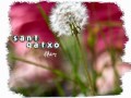 Click here to watch this video 06.- Un poc de tu (Sant Gatxo, LLUM, 2012)