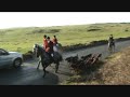Four Shires Bloodhounds - Carsington Meet, Netherton Hall