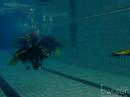 Curso open water 1 2008 paseo por la piscina