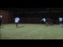 principi generali vs tess 12   6  www trofeocaressa it 
