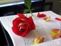 chithi na koi sandes..female ........a sad song by khushi