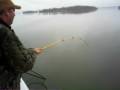 32 lb Blue Catfish 32 lb Blue Catfish