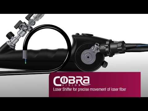 Flexible sensor ureterorenoscopes BoaVision and CobraVision from Richard Wolf