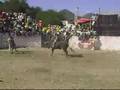 JARIPEO EN LA ALBERCA, VILLA DE ZARAGOZA S.L.P