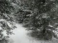 vallon magique.wmv