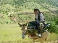 kemençe kürtçe kurdish ribab murado mirade kine kamanca show