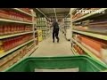 stupcat-2008-2.html