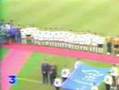 Auxerre-Nimes 2-1 (Coupe de France 1995/96)