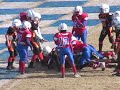 B2C: CCYFL Championship - Tigers vs Eagles - 10U