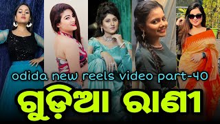 Gudia Rani  Odia New Song Video  Odia New Tik TokO
