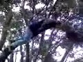 joseph-climber-betuh-e-jesuis.html
