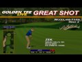 Golden Tee Great Shot on Woodland Farm!
