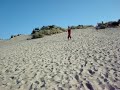 Honeyman Park, Florence, Oregon, Sand Surfing