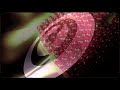 Roul and Doors - Cameroon (Original Mix)
