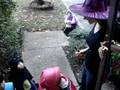 Halloween 2