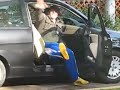 bobo e il tranquillante nostro