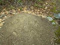 mid state trail hike: greenwood spur    telephone trail