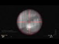 My second double headshot one shot kill. Literally done within an hour or two of my first one.
