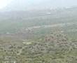 Cherat