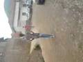 videos de zhuri