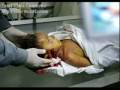 videos de gaza malek diar شرف الشهادة لاتعطى الى اى احد ياعرب
