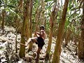 TREINAMENTOS LEGAIS