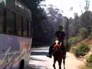 Ooty Horse riding - 2005 Ooty Horse riding - 2005