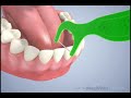 Fun Flossers by DenTek