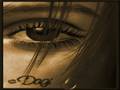 Hani Shaker New Album El 7elm Da3
