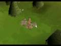 videos de New Mysterious Runescape creature!!! i was the first to find it!!