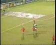 James Quinn's first goal for Northern Ireland