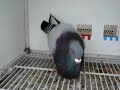 El Brujo