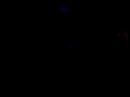 bandikoro