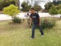 parkour ( trakass )