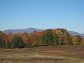 Catskills 322